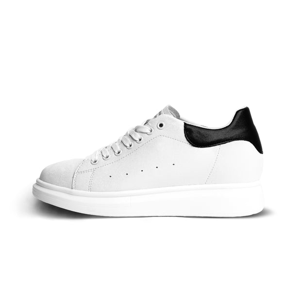 أوديسي - ٧سم